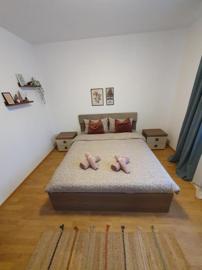 Apartament La Casa In Curte Comuna Apartment Codlea Bagian luar foto