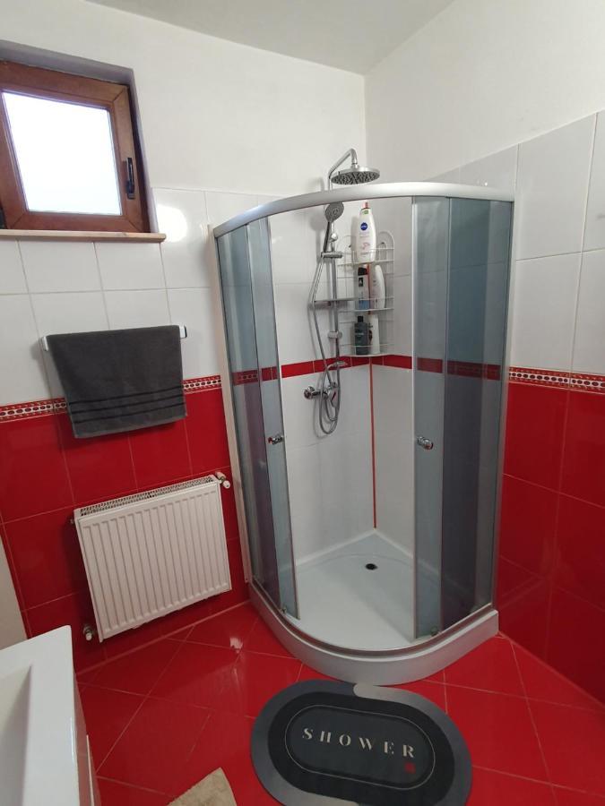 Apartament La Casa In Curte Comuna Apartment Codlea Bagian luar foto