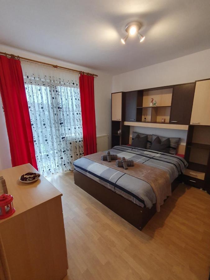 Apartament La Casa In Curte Comuna Apartment Codlea Bagian luar foto